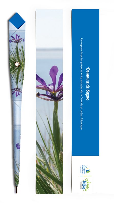 Penna di carta personalizzata — 250 penne — Multimodelli - Franco