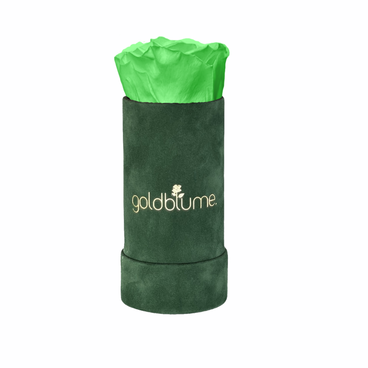 Velvet Green Collection