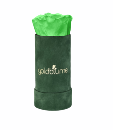 Velvet Green Collection