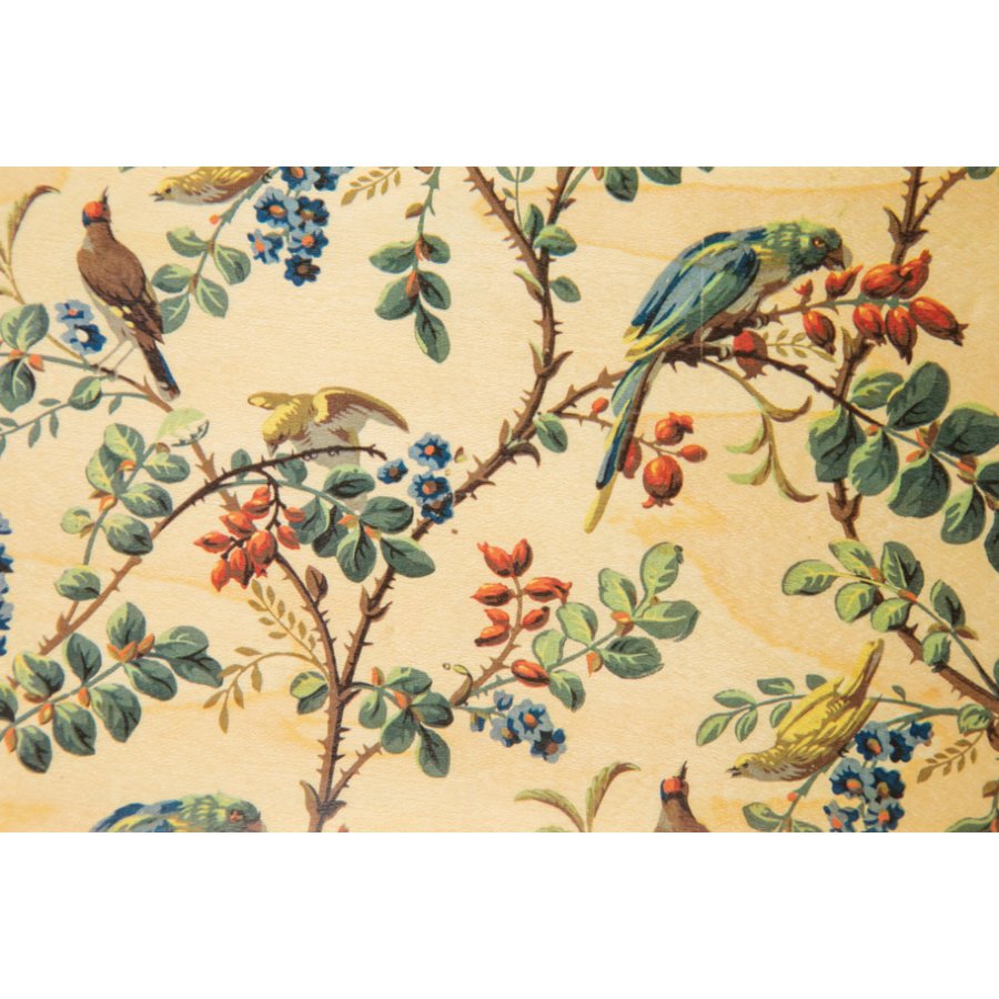 wooden postcard bnf parrot wallpapers