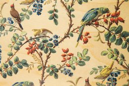 wooden postcard bnf parrot wallpapers