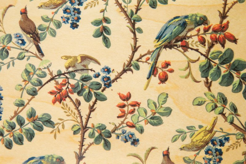 wooden postcard bnf parrot wallpapers