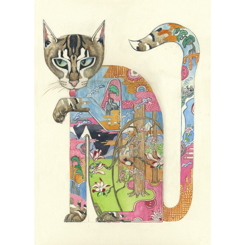 E010 - kat slikker pote