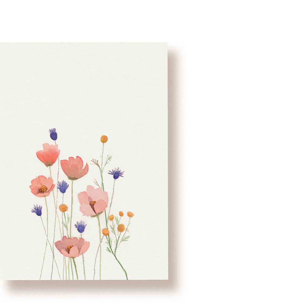 bloemenweide | ansichtkaart