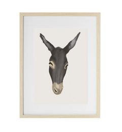 Póster - Cabeza de burro