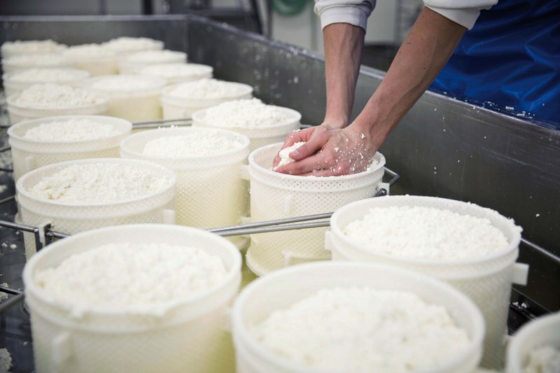 🇬🇧 Pecorino met olijfbladeren – ambachtelijke kaas verfijnd met olijfbladeren