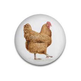 Decorative magnet Catwalk Chicken