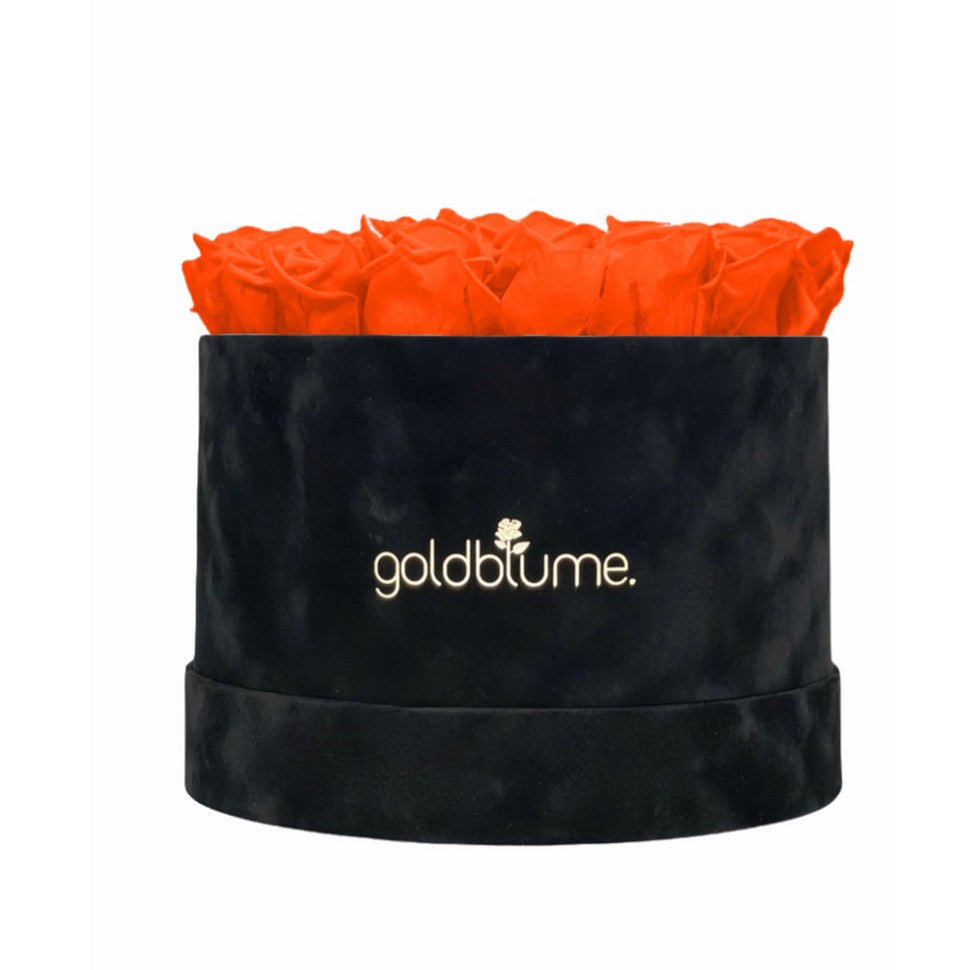 Velvet Black-collectie