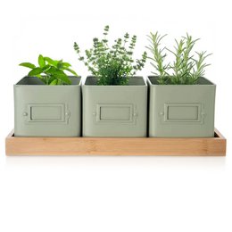 Plant Pot -kruiden op basis groenachtig 4 el,