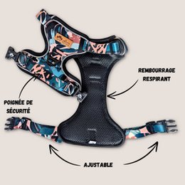 Savane Comfort Y Harness