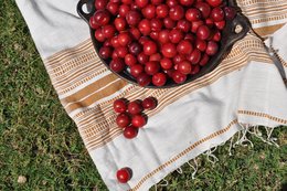 A large bowl filled with fresh, ripe red cherries on a wooden surface, surrounded by a white and brown checkered cloth on a grassy background.