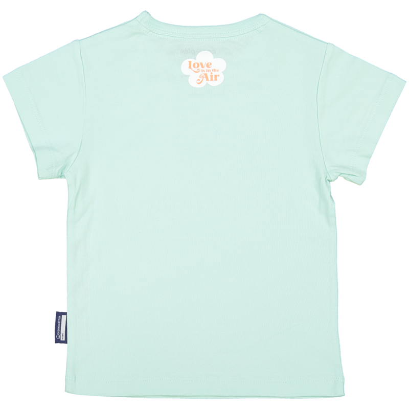 Short-sleeved children's t-shirt, organic cotton, blue, Pink Flamingo