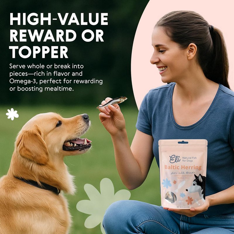 Dried Baltic Herring Natural Single Ingredient Dog Treats 80g