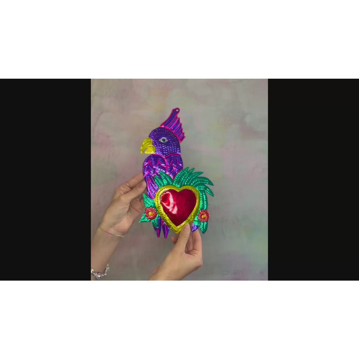 Parrot enamorado de Maxi Heart
