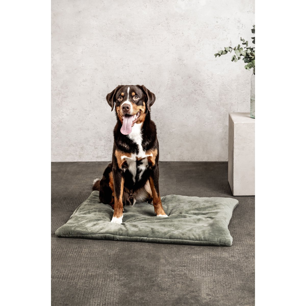 Hundedecke Emma Moosgrün (veganistisch)