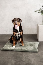 Hundedecke Emma Moosgrün (vegansk)