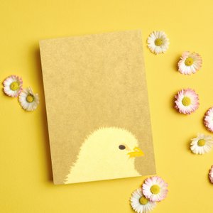 Easter card chick in delicate green - postcard for Easter wishes or as a gift idea for Easter, Happy Easter card chick, spring card