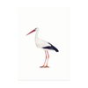 Minikarte | Storch (A7)
