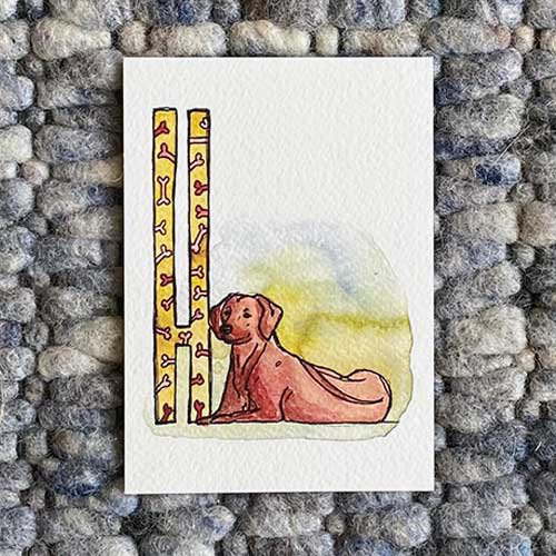 Tarjetas ABC de animales (tamaño A6)