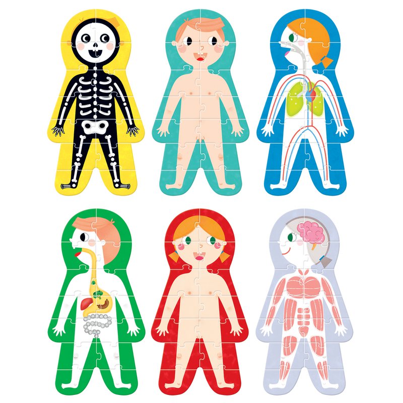 Puzzles de taille supérieure Mon corps 3+