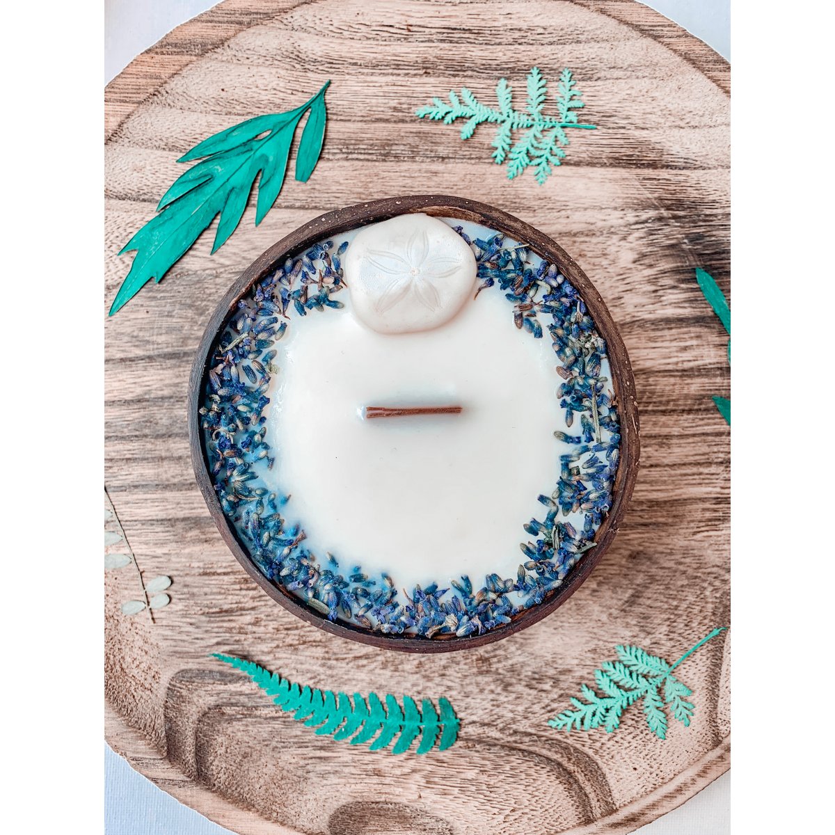 Sand Dollar candle - coconut shell