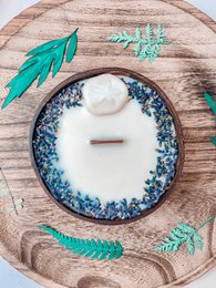 Sand Dollar candle - coconut shell