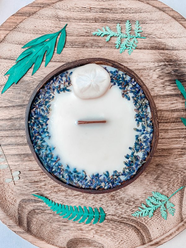 Sand Dollar candle - coconut shell
