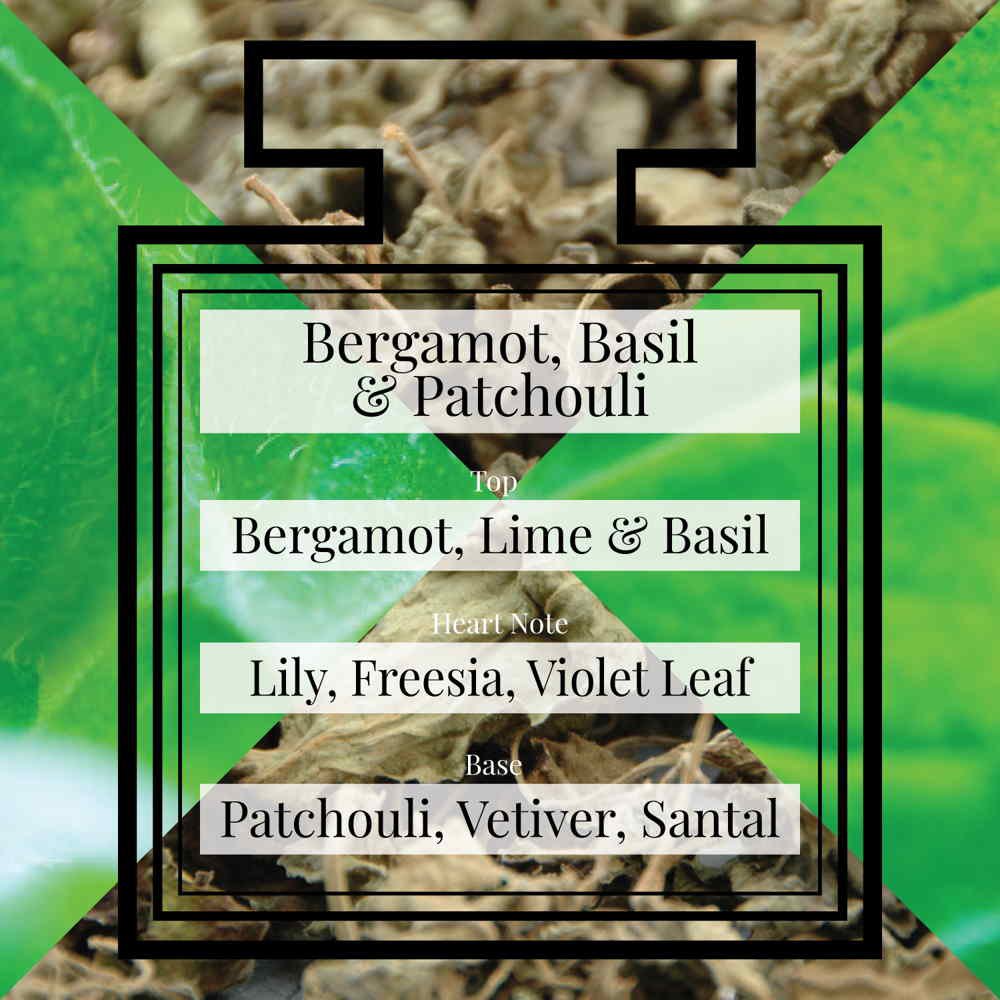 Bergamota, Albahaca y Pachulí - Eau de Parfum - 100ml
