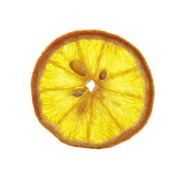 Tørrede appelsinskiver