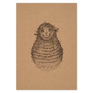 Notebook - Wollfried