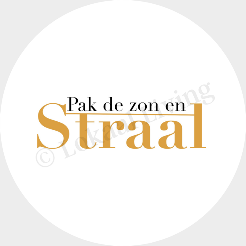 Muurcirkel Zon en straal