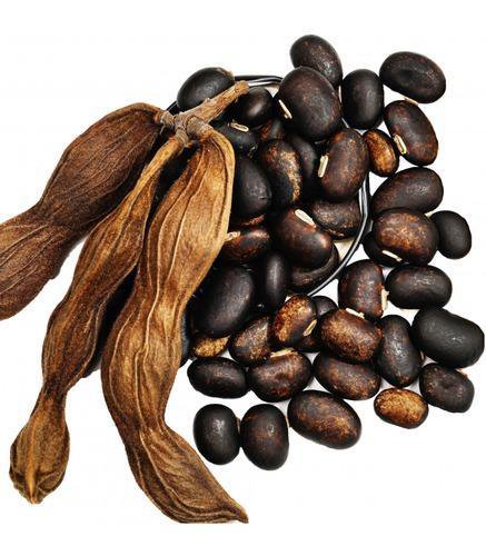 Mucuna