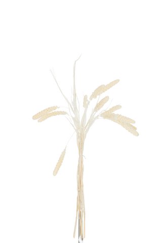Dried Millet