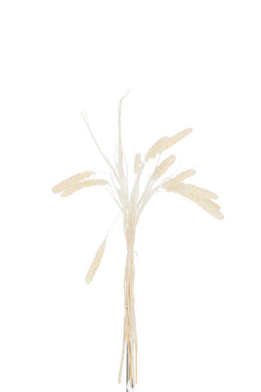Dried Millet