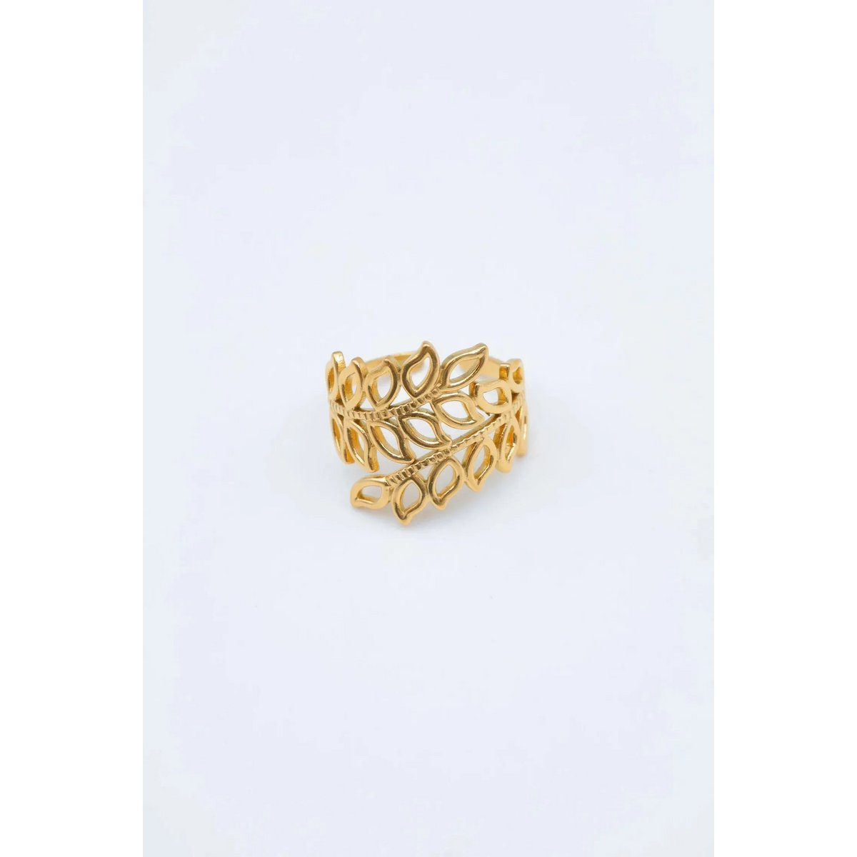 RVS ringen