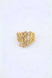 RVS ringen