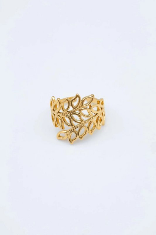 RVS ringen