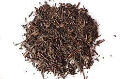 Japanischer Hojicha-Tee