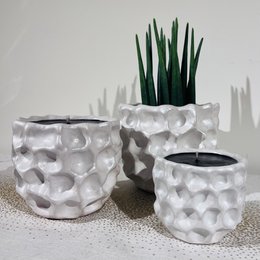 Large Flower Pot