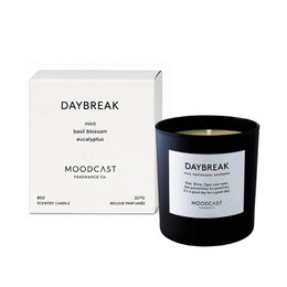 Candela Daybreak da 8 once