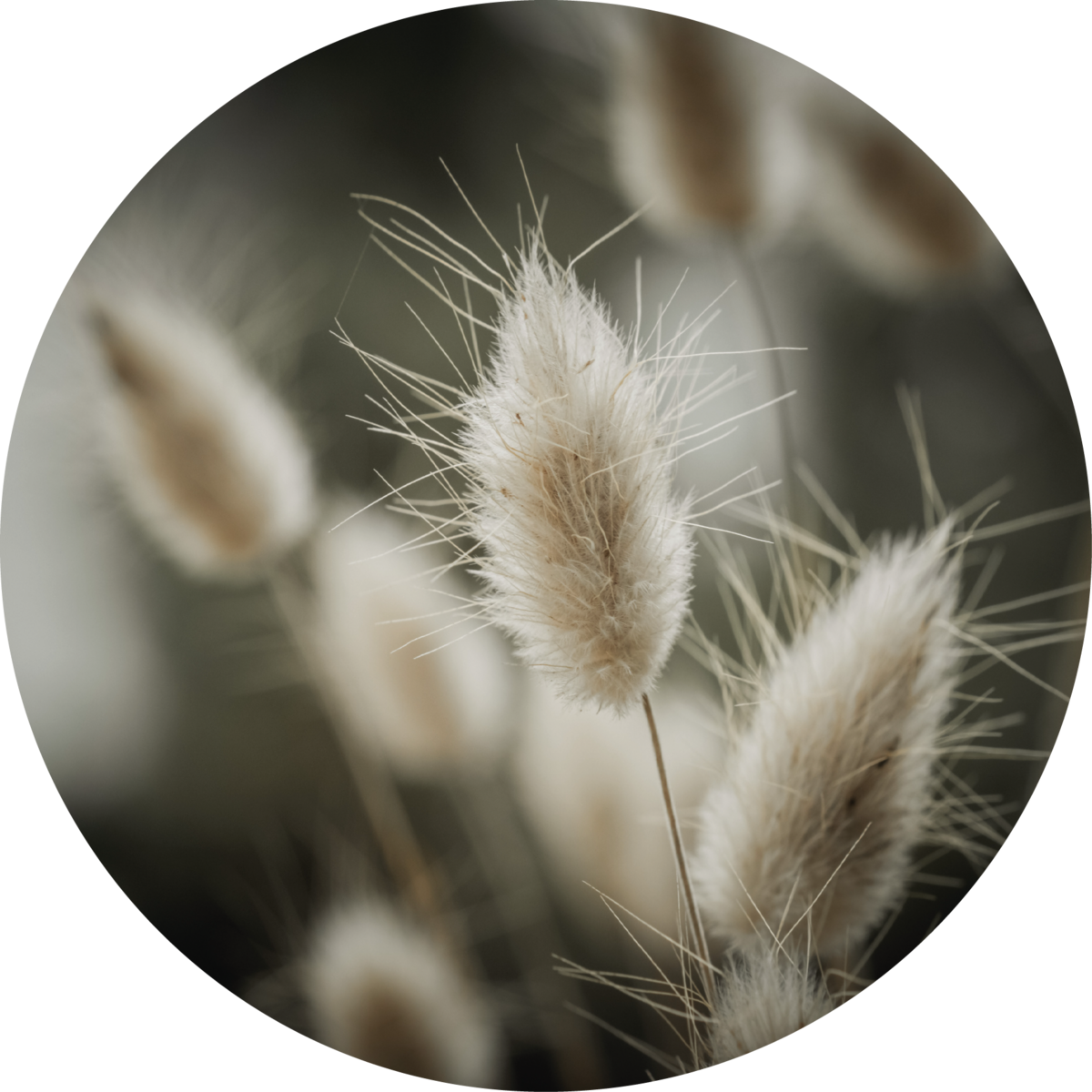 Combined grass
