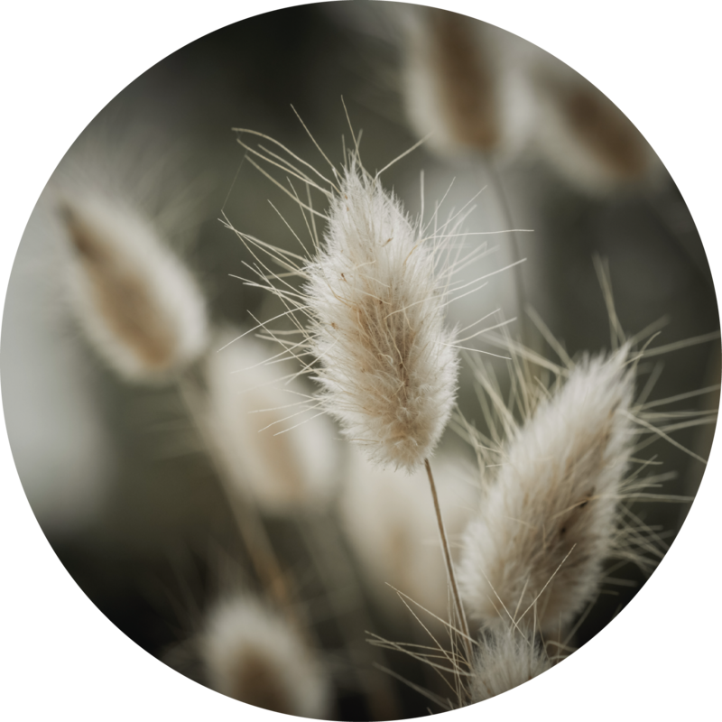 Herbe combinée