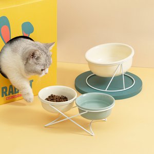 GIZMO Ceramic Drinking and Feeding Bowls with Stand