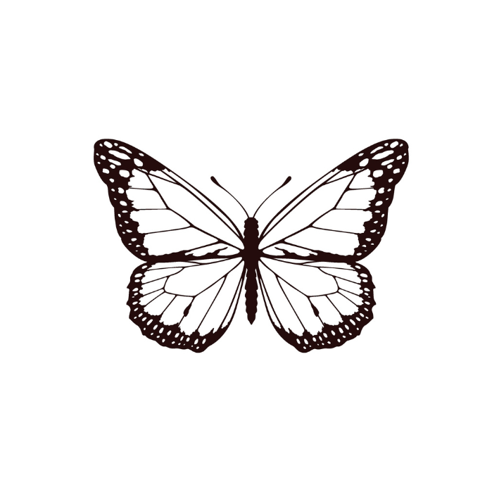 Tatuaggio temporaneo Sioou - Farfalla notturna x5