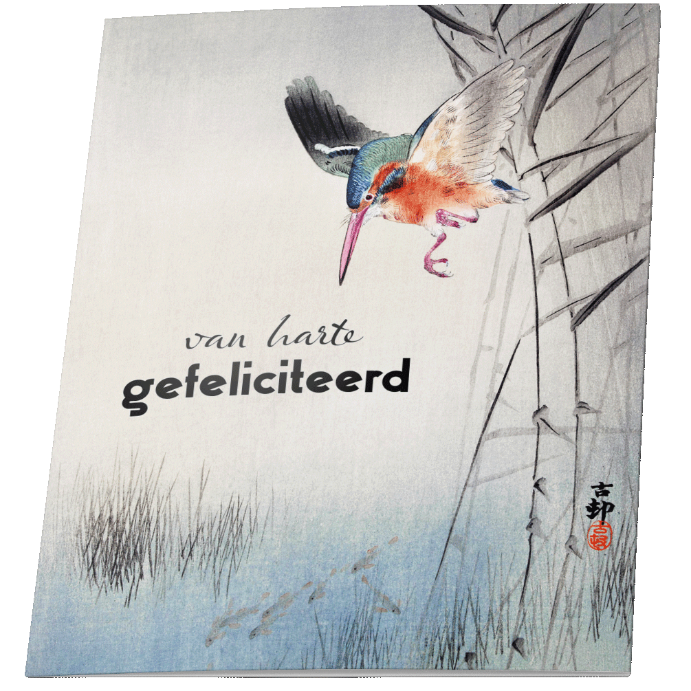 Zestaw kartek z życzeniami Kartki urodzinowe