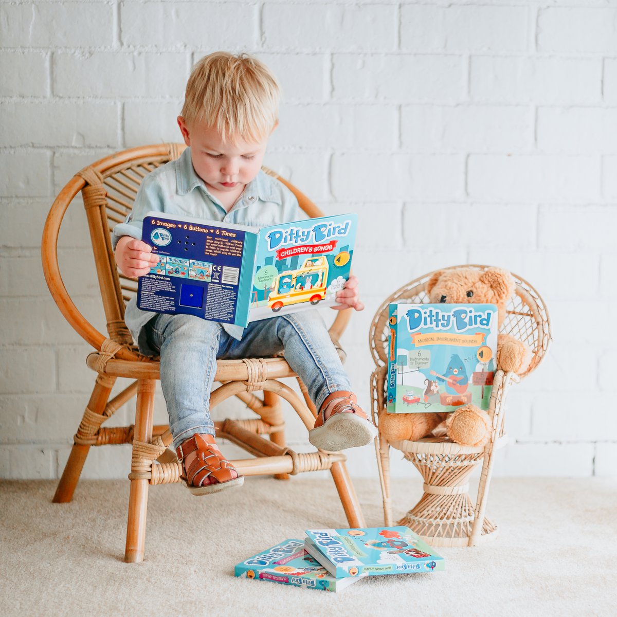 Ditty Bird babygeluidenboek: kinderliedjes