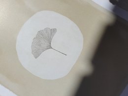 Japandi Plant Poster "White Ginkgo" A4 - Bæredygtige kunsttryk på genbrugspapir i cellofan