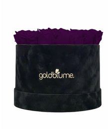 Velvet Black Collection