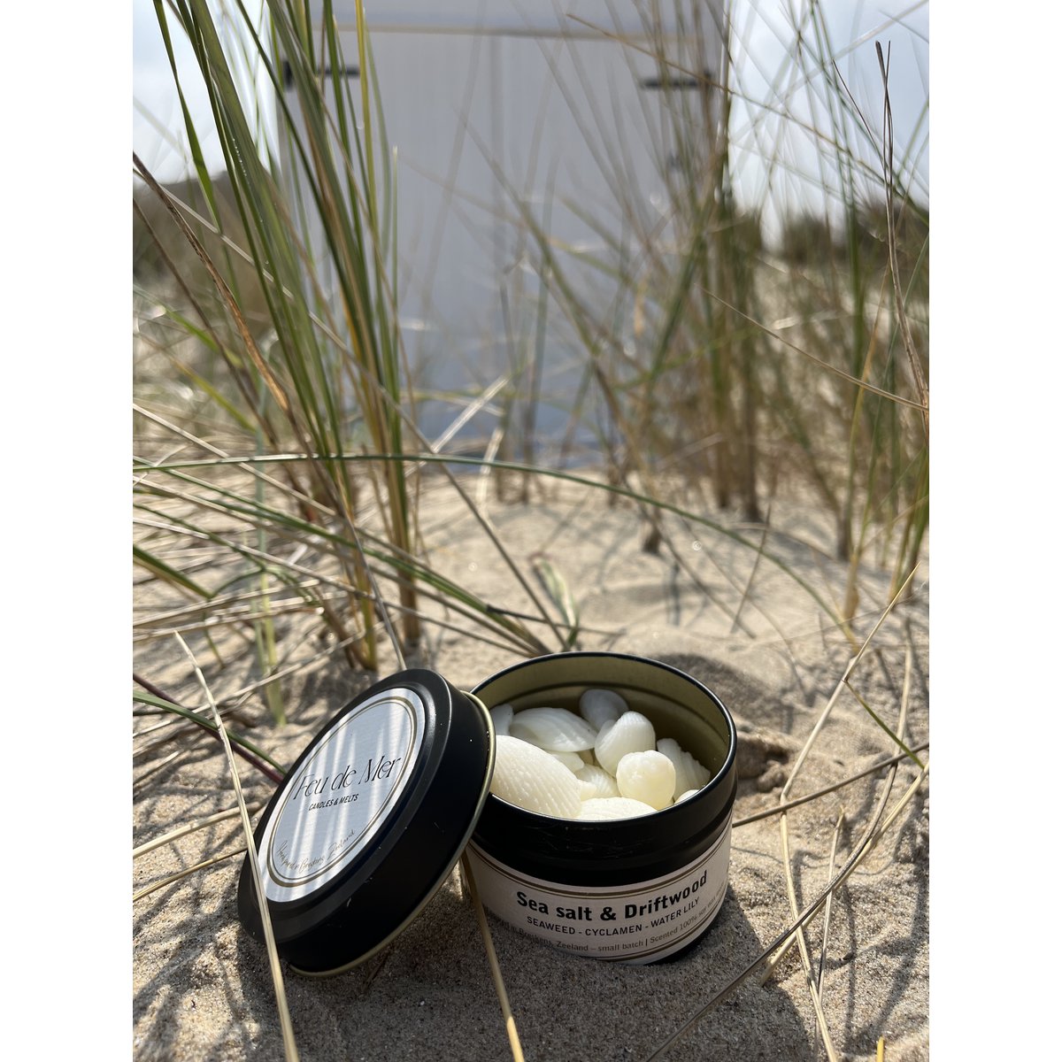 Wax melts seashells 50g - sea salt & driftwood