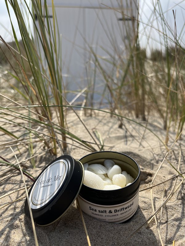 Wax melts seashells 50g - sea salt & driftwood